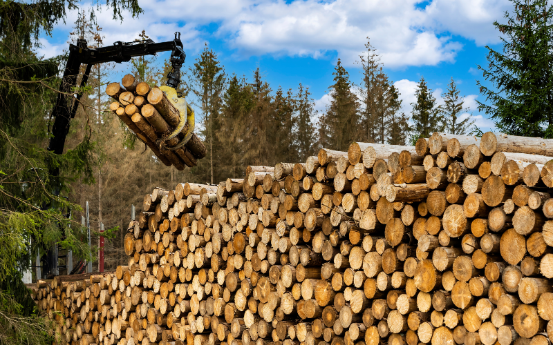 le bois ressource d avenir en progression constante dans la construction